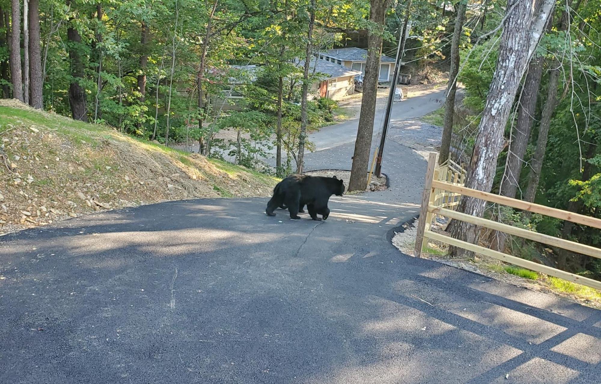 Can'T "Bear" To Leave Villa Sevierville Exterior photo